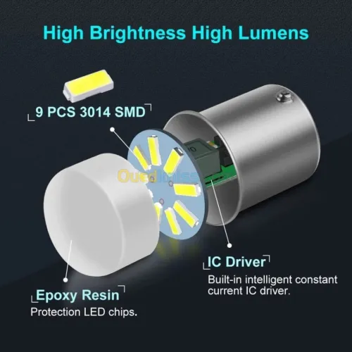 Ampoules LED de qualité 