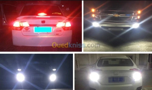 Ampoules LED de qualité 