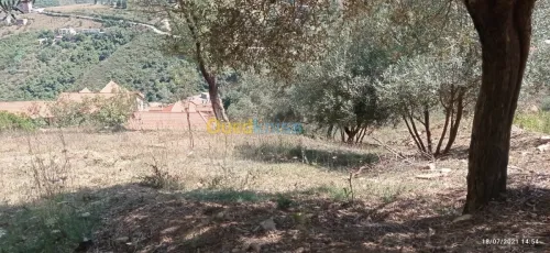 Vente Terrain Bejaia Aokas