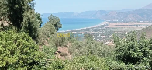 Vente Terrain Bejaia Aokas