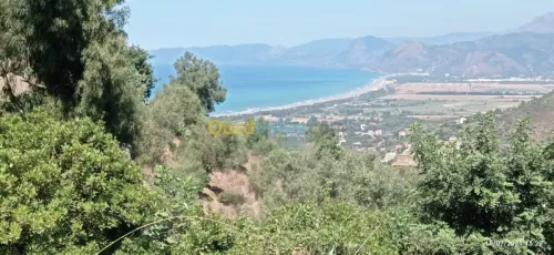 Vente Terrain Bejaia Aokas