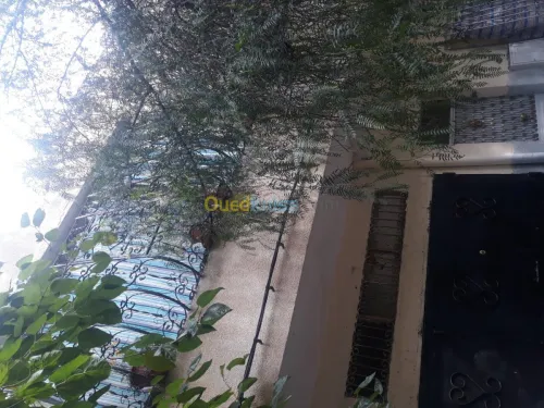 Vente Villa Constantine Constantine
