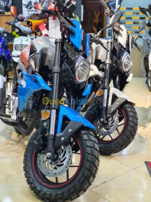 Tiema motors Scrambler 