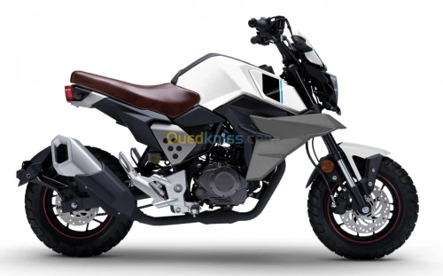 Tiema motors Scrambler 