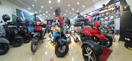 Tiema motors Scrambler 