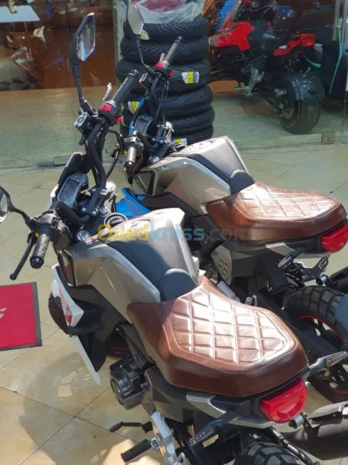 Tiema motors Scrambler 