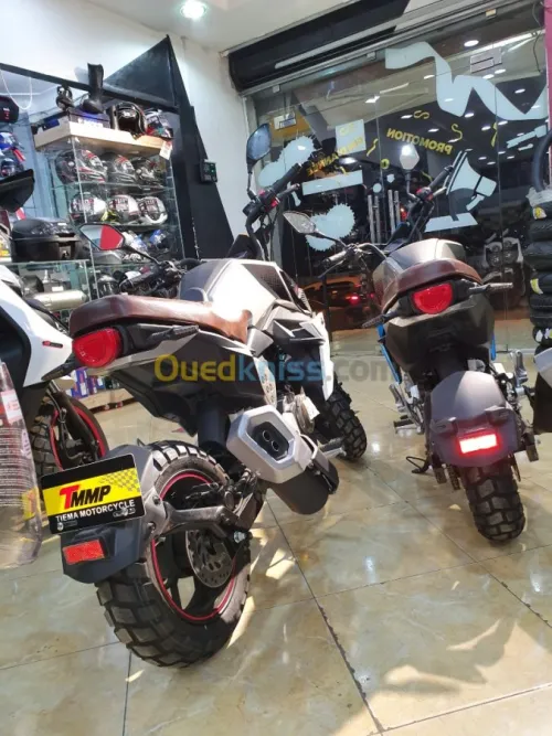 Tiema motors Scrambler 