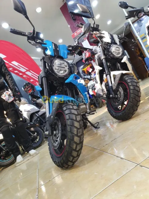 Tiema motors Scrambler 