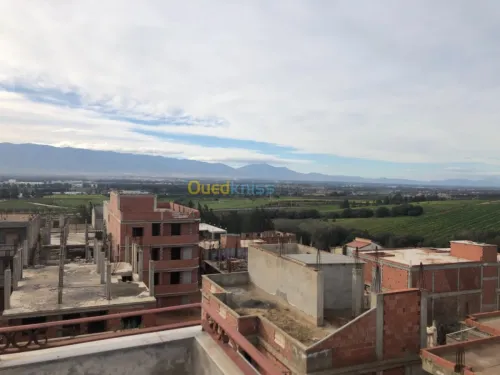 Location Villa Alger Douera