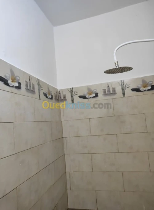 Location Immeuble Ain temouchent Terga