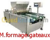 LIGNE DE PRODUCTION DES MADELAINE