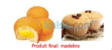 LIGNE DE PRODUCTION DES MADELAINE