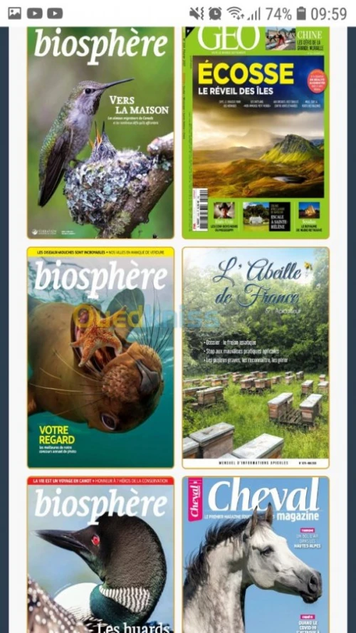Livres, magazines, BD numérique 