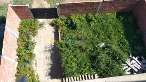 Vente Villa El taref Drean