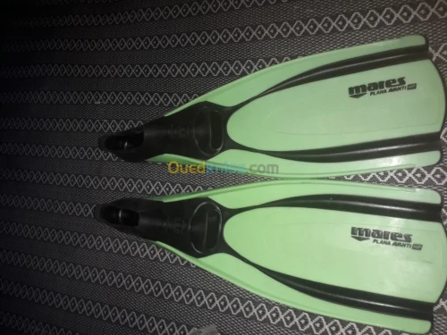 Les palm original djdad 