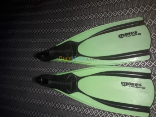 Les palm original djdad 