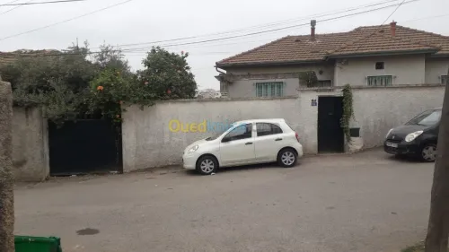 Vente Villa Alger El mouradia