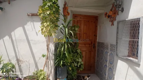 Vente bien immobilier Ain defla Ain defla