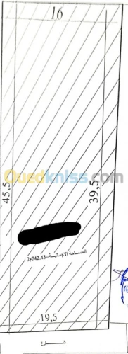 Vente Terrain Ghardaia El menia