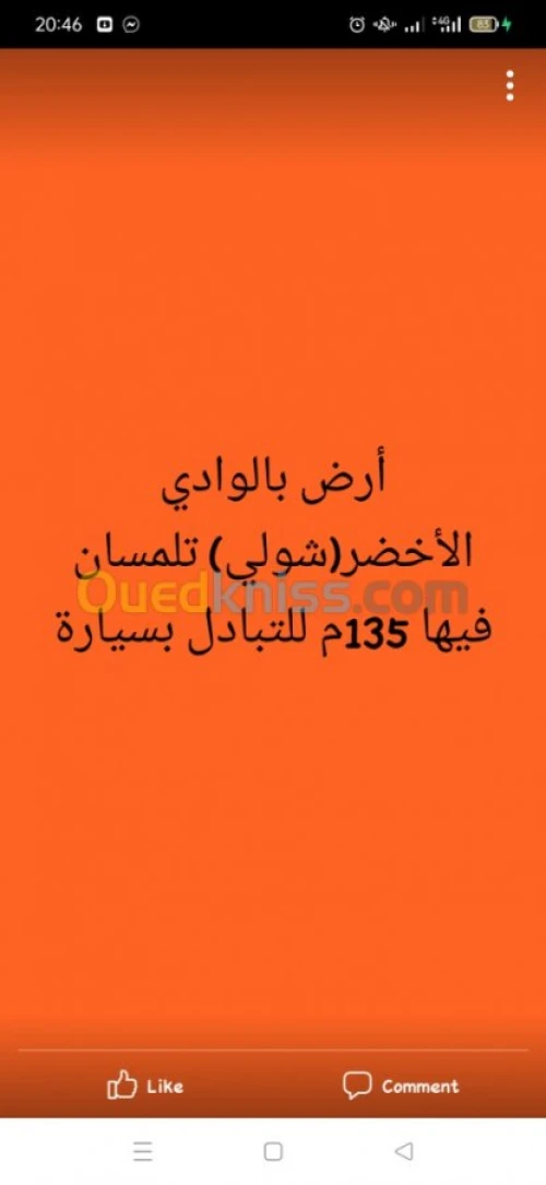 Vente Terrain Tlemcen Oued chouli
