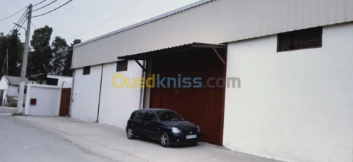 Location Hangar Blida Ouled el alleug
