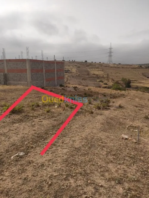 Vente Terrain Tlemcen Souahlia