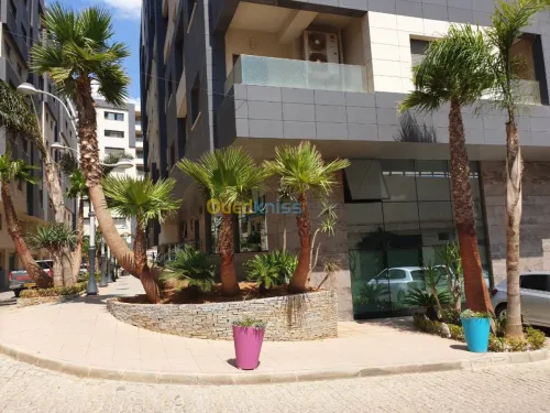 Location Appartement F4 Alger Said hamdine