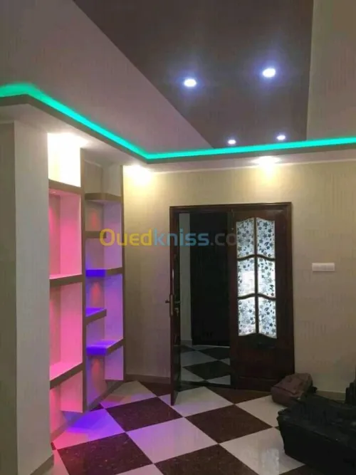 Décorations placoplâtre et peinturePVC