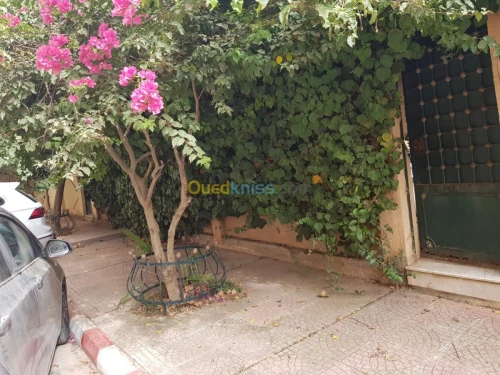 Location Villa Alger Ouled fayet