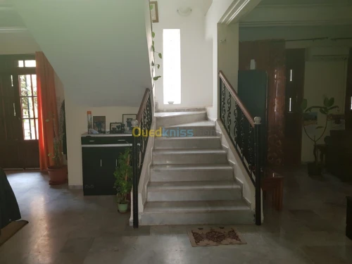 Location Villa Alger Ouled fayet