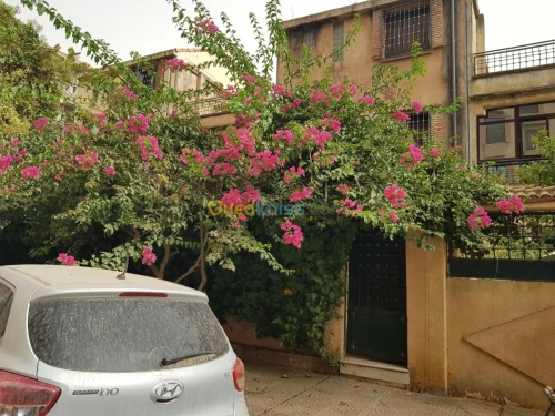 Location Villa Alger Ouled fayet