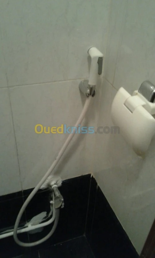 Location Duplex F4 Alger Hydra