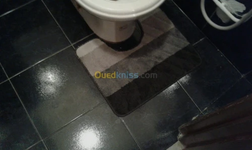 Location Duplex F4 Alger Hydra