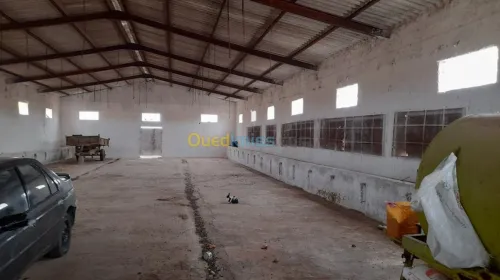Vente Terrain Relizane Dar ben abdellah