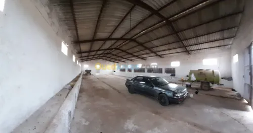 Vente Terrain Relizane Dar ben abdellah
