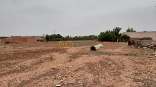 Vente Terrain Relizane Dar ben abdellah