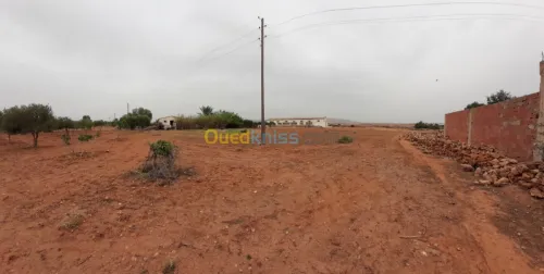 Vente Terrain Relizane Dar ben abdellah