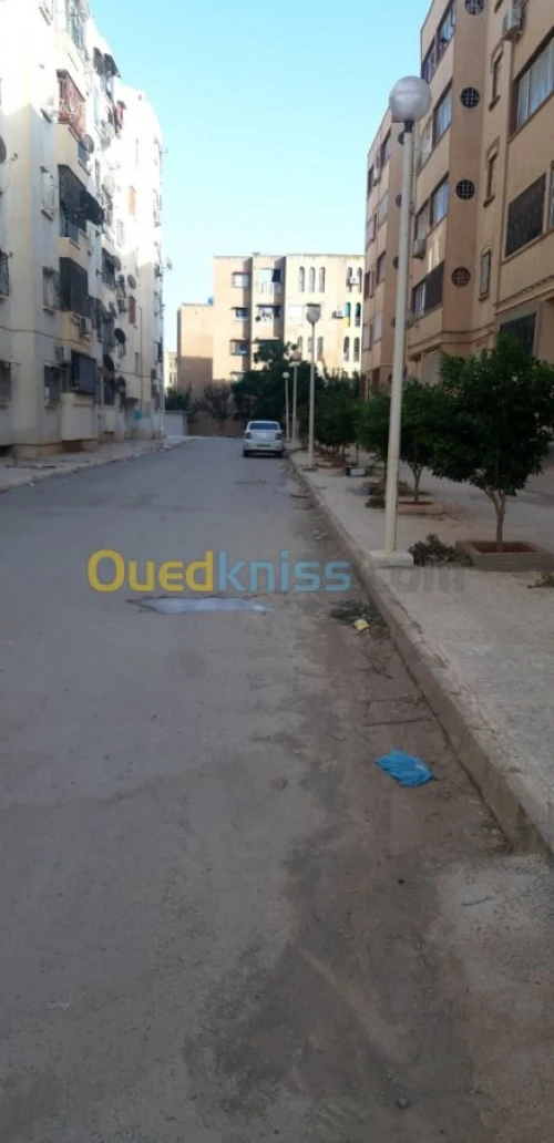 Vente Local Sidi bel abbes Sidi bel abbes