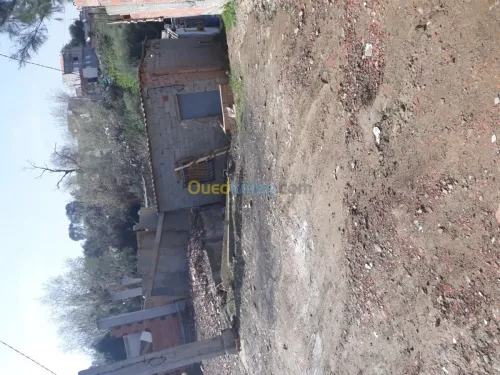 Vente Terrain Blida Blida