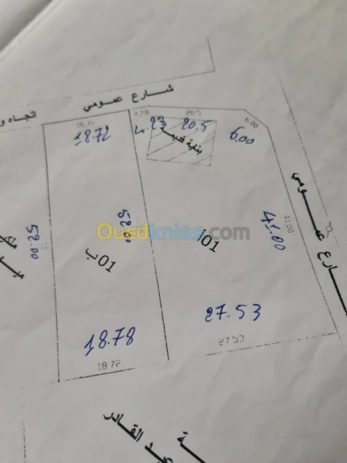 Vente Terrain Alger Cheraga