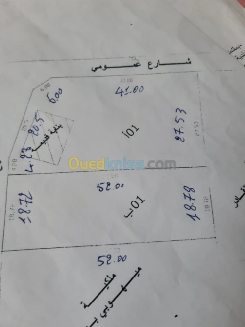 Vente Terrain Alger Cheraga