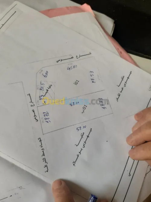 Vente Terrain Alger Cheraga
