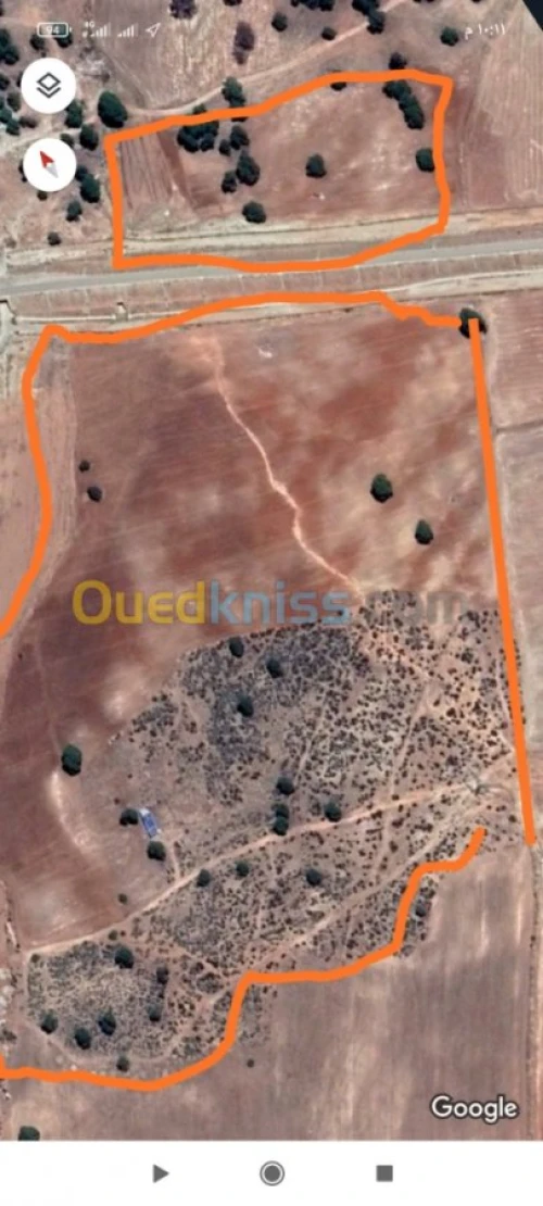 Vente Terrain Agricole Saida Youb