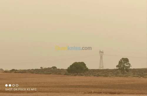 Vente Terrain Agricole Saida Youb