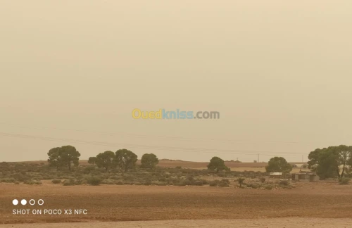 Vente Terrain Agricole Saida Youb