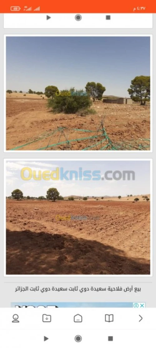 Vente Terrain Agricole Saida Youb