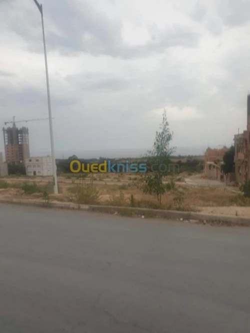 Vente Terrain Mostaganem Mezghrane