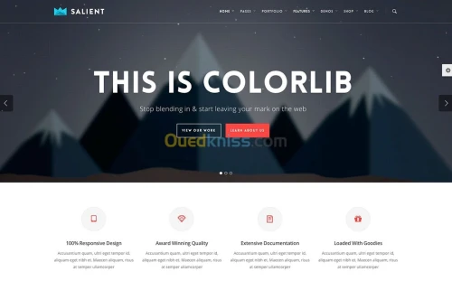 creation de site wordpress