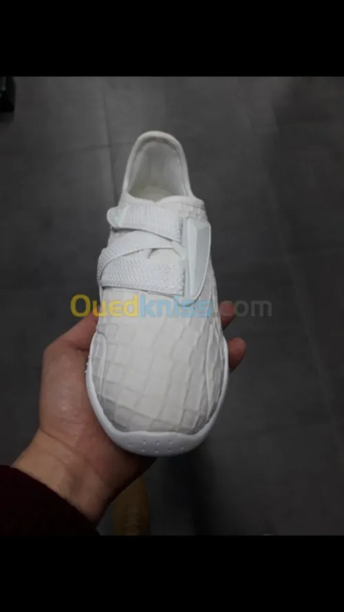 Puma mostro original