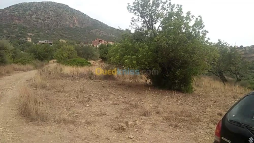 Vente Terrain Bejaia Bejaia